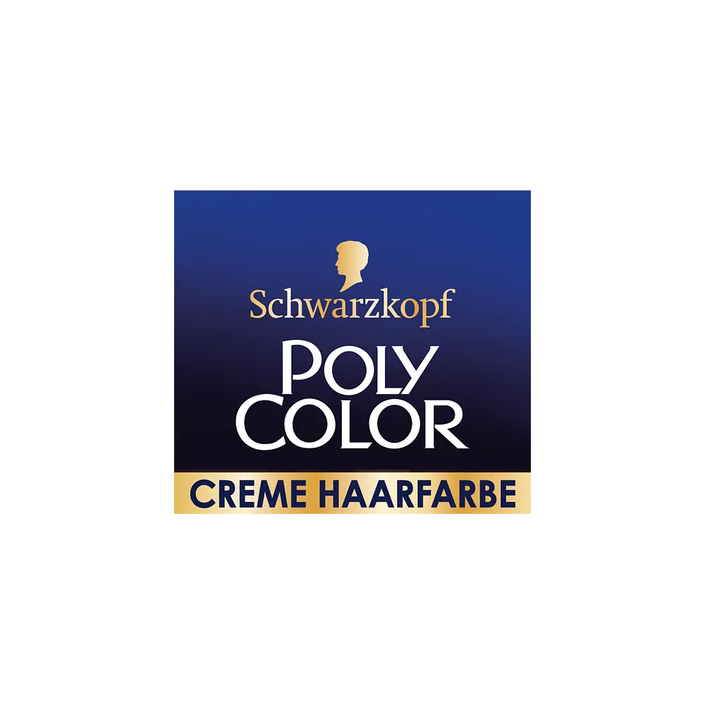 Poly Color Logo AT