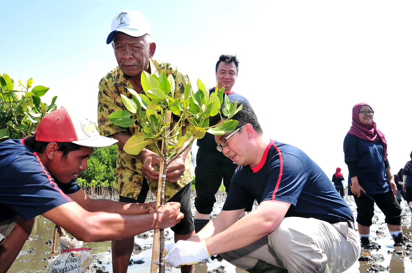 
President of Henkel Indonesia, Allan Yong, with Kalpataru Winner, Bapak Mukarim and Henkel Employees Planting Mangrove in Mangrove Pasuruan Conservation Center